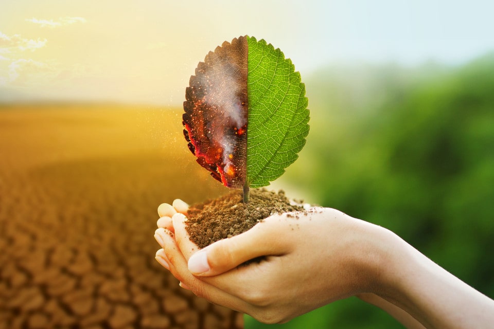 Al momento stai visualizzando Cambiamento climatico: come proteggere le colture e l’ambiente.