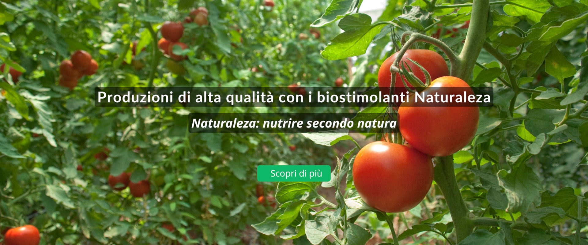 produzioni di qualita