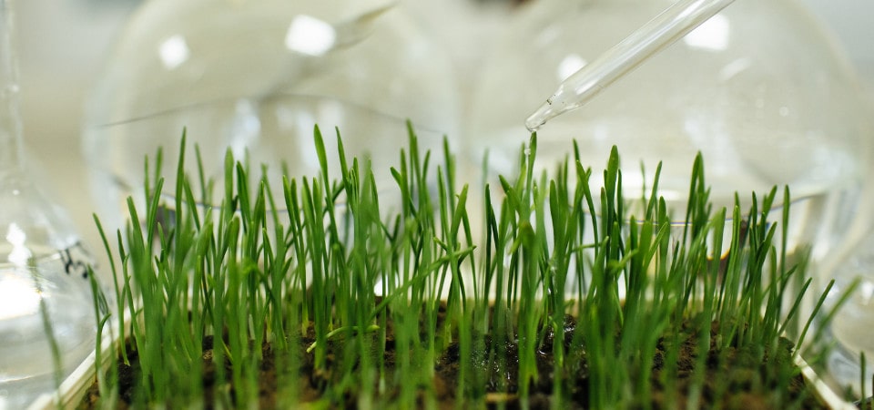 ricerca e sviluppo naturaleza concimi
