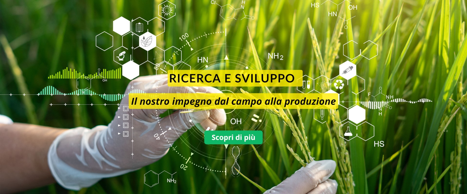 ricerca sviluppo naturaleza
