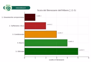 Scopri di più sull'articolo Valutare lo stato di benessere di una pianta